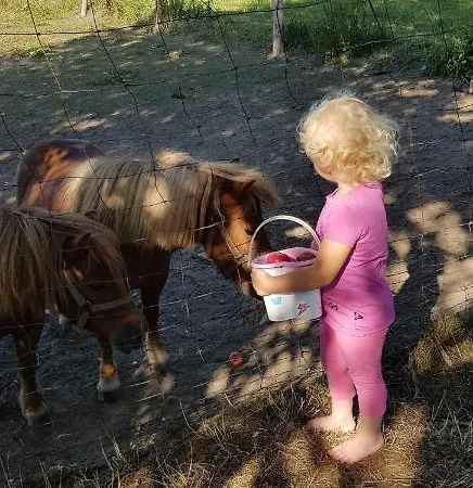 Goscinne Pod Jabloniami Проживание в семье *