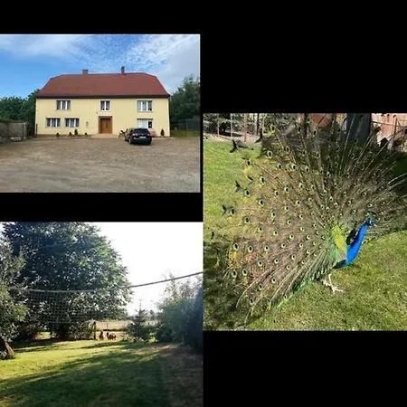 Проживание в семье Goscinne Pod Jabloniami *