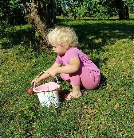 Pokoje Goscinne Pod Jabloniami *