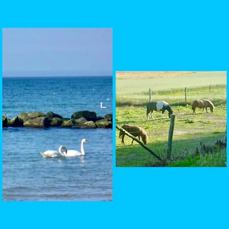 Goscinne Pod Jabloniami *