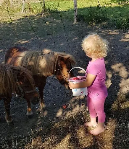 Goscinne Pod Jabloniami Δωμάτια σε οικογενειακή κατοικία *