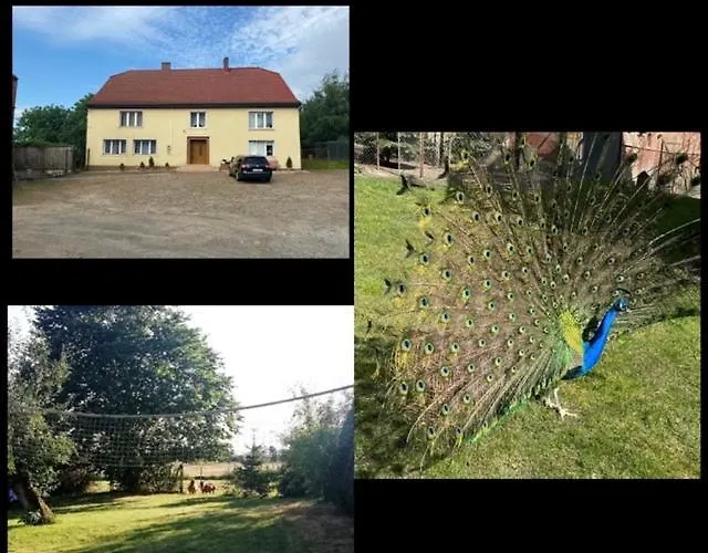 Δωμάτια σε οικογενειακή κατοικία Goscinne Pod Jabloniami *