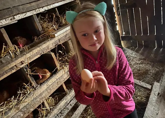 Goscinne Pod Jabloniami