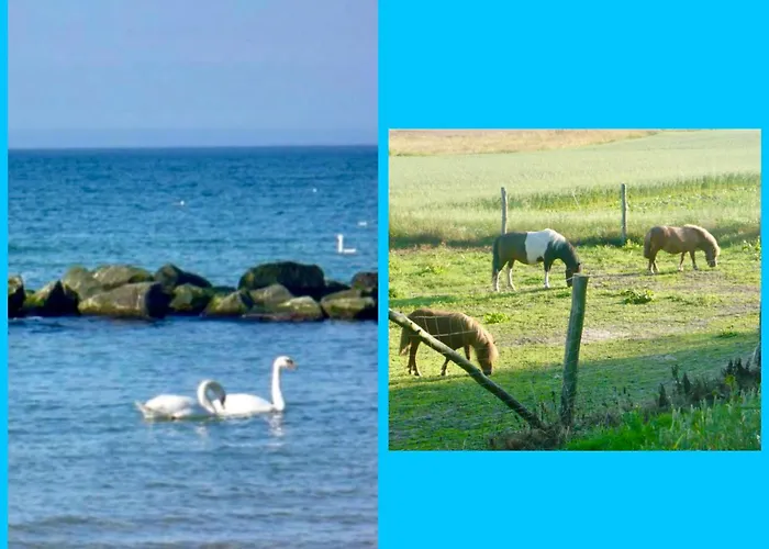 Goscinne Pod Jabloniami *